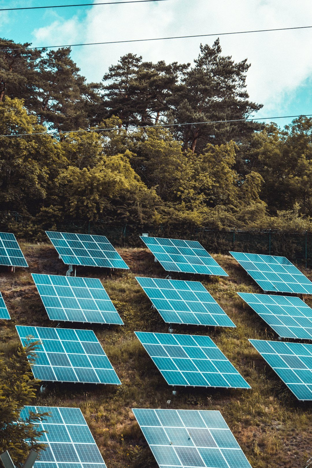 solar-panels-on-green-trees-during-daytime-mrbywmrexh8